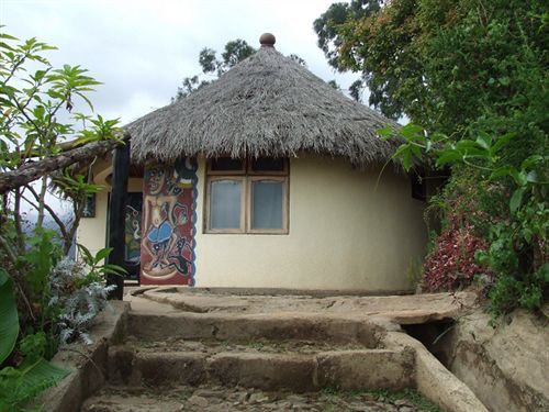 Mount Kilimanjaro View Lodge موشي المظهر الخارجي الصورة