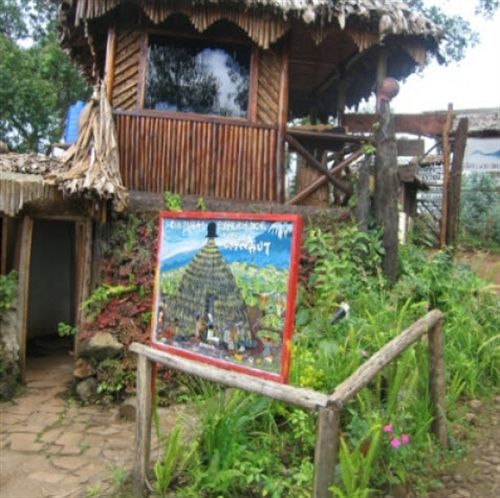 Mount Kilimanjaro View Lodge موشي المظهر الخارجي الصورة