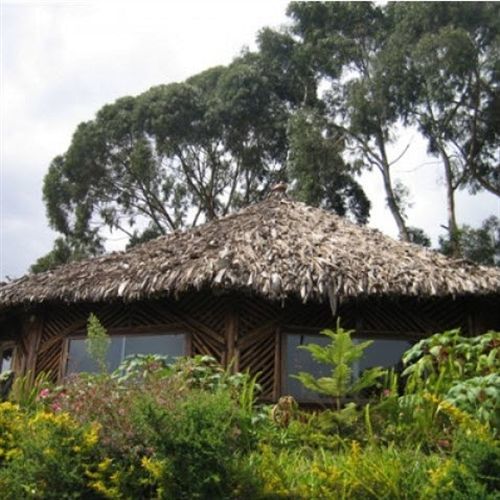 Mount Kilimanjaro View Lodge موشي المظهر الخارجي الصورة